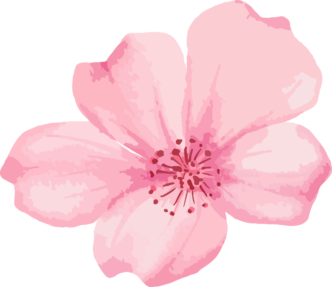 Pink Flower Blossom in Water Color for Decorative Element